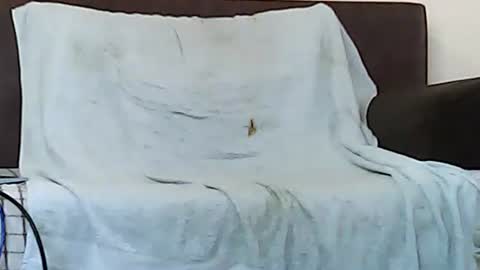 Snapshot of star0806666a chatting on November 6, 10:05 am star0806666a online show from November 6, 10:05 am