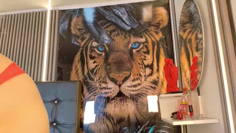 Snapshot of startevans chatting on March 14, 4:18 am startevans online show from March 14, 4:18 am