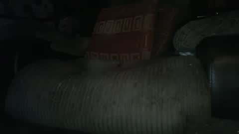 Snapshot of ste_wulf chatting on March 4, 1:34 am ste_wulf online show from March 4, 1:34 am