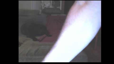 stefangeil123 online show from March 21, 12:59 am