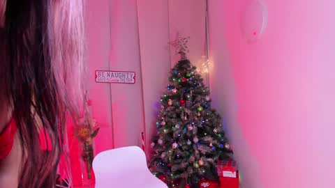 Snapshot of steffy_dan chatting on December 25, 4:01 am Steffy online show from December 25, 4:01 am