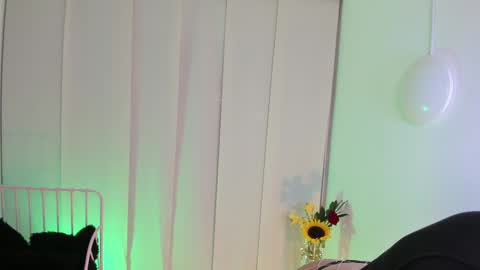 Snapshot of steffy_dan chatting on January 6, 6:58 am Steffy online show from January 6, 6:58 am