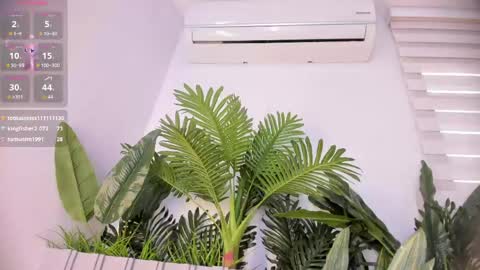Stephany  online show from April 29, 5:30 pm