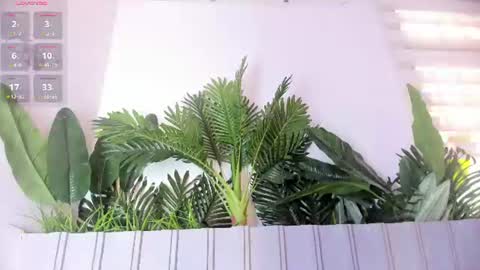 Stephany  online show from July 28, 7:39 pm
