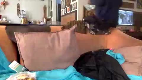 Snapshot of stevemason718 chatting on February 25, 8:51 pm STEVE CASHMASTER 1comedia online show from February 25, 8:51 pm