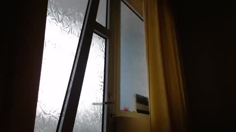 Snapshot of stevenbradley2017 chatting on November 6, 8:37 am Steven online show from November 6, 8:37 am