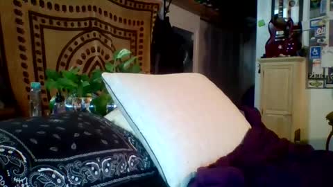 steviehard7 online show from February 12, 5:15 am