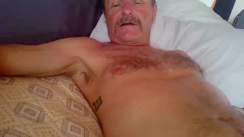 steviehard7 online show from October 2, 10:50 pm