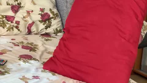 Chris online show from September 15, 7:52 am