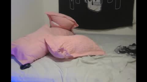 Snapshot of stoned2dabones666 chatting on December 15, 1:46 am Haily online show from December 15, 1:46 am