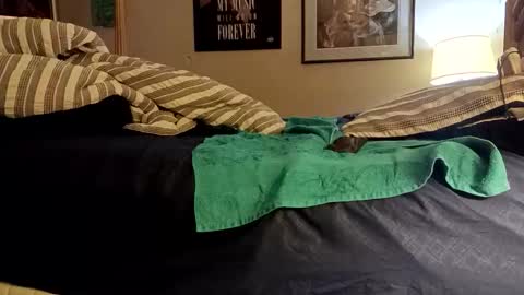 Snapshot of stoppageflo45662 chatting on October 24, 10:55 am stoppageflo45662 online show from October 24, 10:55 am