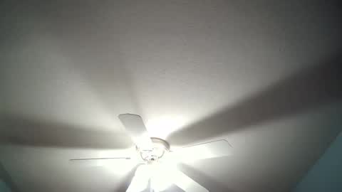 Snapshot of str8whiteboy21 chatting on December 19, 4:34 am str8whiteboy21 online show from December 19, 4:34 am