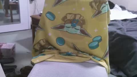 straightstroker81 online show from February 10, 10:08 am