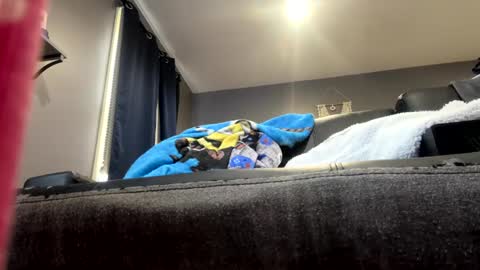 Snapshot of stroking33again chatting on January 1, 7:10 pm stroking33again online show from January 1, 7:10 pm