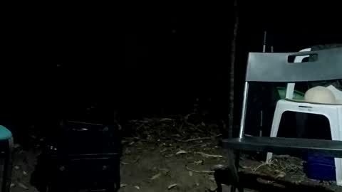 Bigdickdugan online show from February 12, 1:06 pm