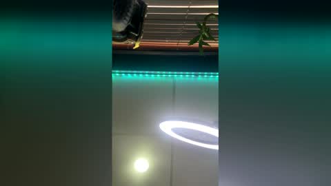 Snapshot of strong_rock69 chatting on March 28, 10:42 pm strong_rock69 online show from March 28, 10:42 pm