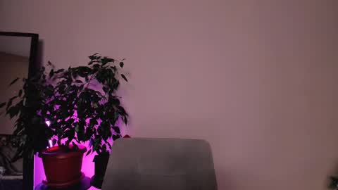 Snapshot of stuffed_cookie chatting on December 18, 1:45 pm Mary online show from December 18, 1:45 pm