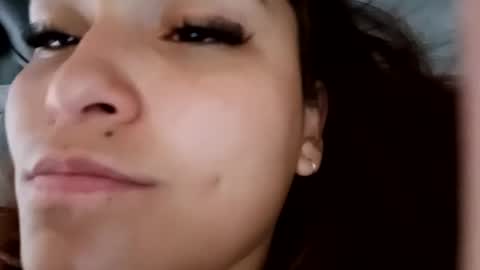 stuffed_rabbit online show from February 4, 1:06 pm