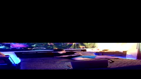 Stycock88 online show from March 2, 4:25 am