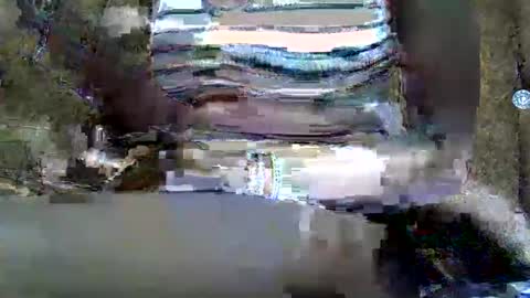 Snapshot of submissive_slut001 chatting on January 12, 11:50 am submissive_slut001 online show from January 12, 11:50 am