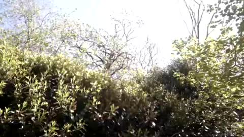sucrette5629 online show from April 25, 1:14 pm