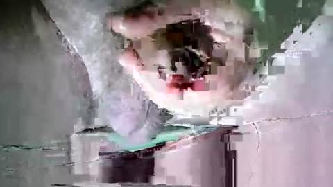 Snapshot of suesser0009 chatting on October 20, 11:38 pm Martin sweetboy online show from October 20, 11:38 pm