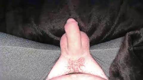 Snapshot of sundicksun chatting on February 13, 5:33 pm s online show from February 13, 5:33 pm