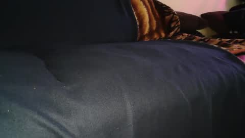 Snapshot of sundicksun chatting on December 1, 12:54 pm s online show from December 1, 12:54 pm