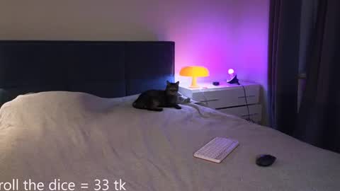 Amy online show from May 2, 6:13 pm