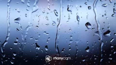 sven online show from February 10, 8:07 am