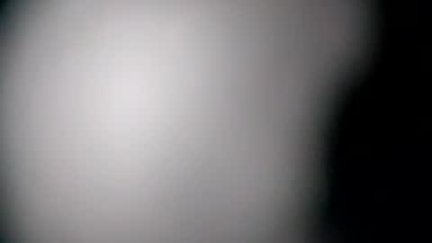 Snapshot of sunnyjohn447 chatting on July 28, 9:48 am Sunnyblack2 online show from July 28, 9:48 am
