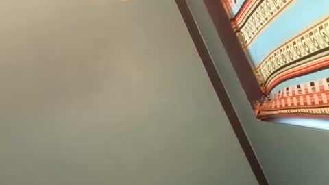 BIGDGEE online show from December 13, 11:17 pm