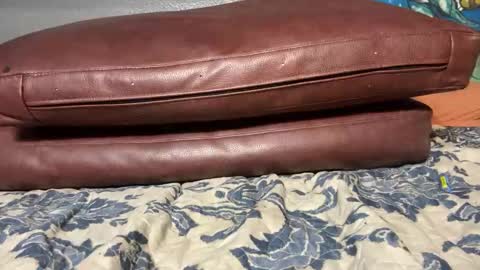 Stony online show from January 20, 11:56 am