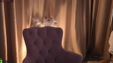 Snapshot of susan__clark chatting on May 17, 6:55 am Annie online show from May 17, 6:55 am