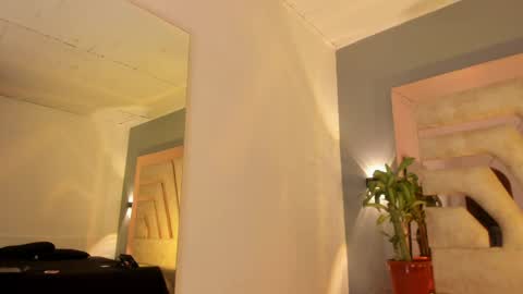 susi  online show from April 26, 8:17 pm