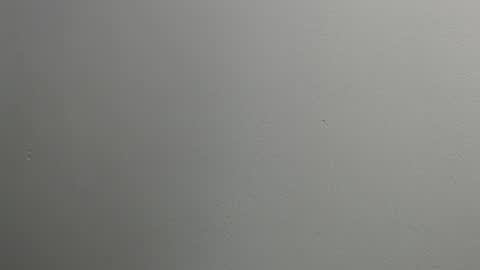 Snapshot of sussy_leon chatting on January 28, 12:11 pm sussy leon online show from January 28, 12:11 pm