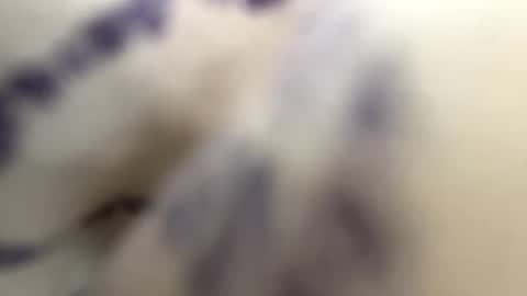 Snapshot of sustainable4u chatting on January 30, 9:58 pm Andy online show from January 30, 9:58 pm