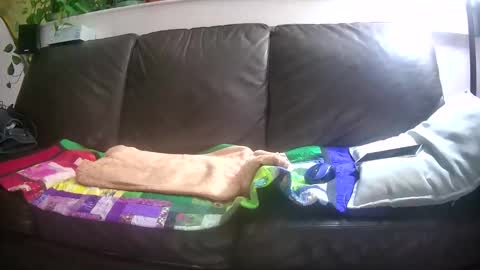 Otto online show from October 26, 4:29 am