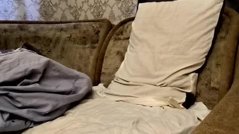 Sweet boy online show from September 21, 12:40 pm