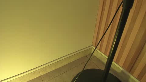 Snapshot of sweet__luna__ chatting on July 14, 10:54 am sweet__luna__ online show from July 14, 10:54 am