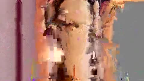          online show from July 15, 7:41 pm