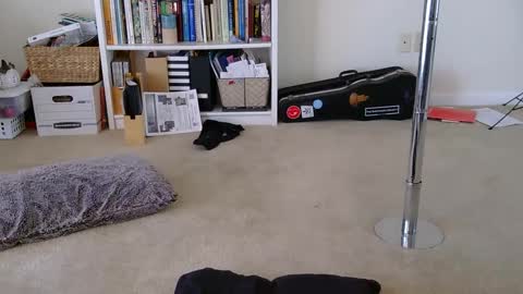 Heidi Brenner - Please check bio for schedule  FAQ online show from January 28, 4:41 pm