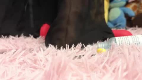  Sweet  online show from May 6, 10:48 pm