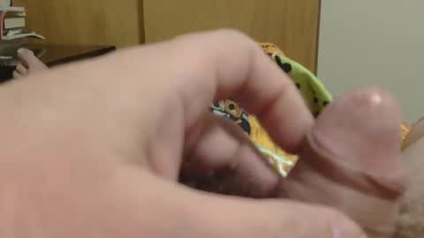 SweetRevenge online show from December 19, 9:33 pm