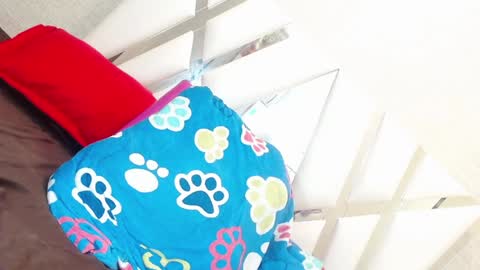 Snapshot of sweetsultrysiren chatting on January 23, 6:35 pm sweetsultrysiren online show from January 23, 6:35 pm