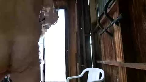 syevecrl online show from October 27, 12:47 am