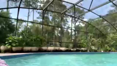 Jennah online show from July 9, 7:51 pm