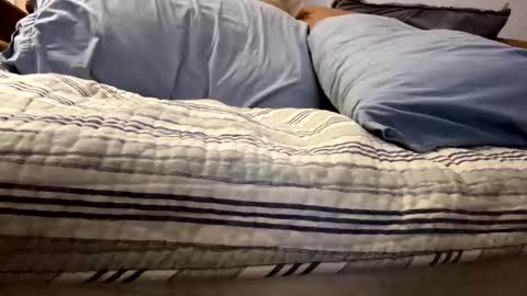 Snapshot of t265h chatting on November 5, 12:43 am tRex online show from November 5, 12:43 am