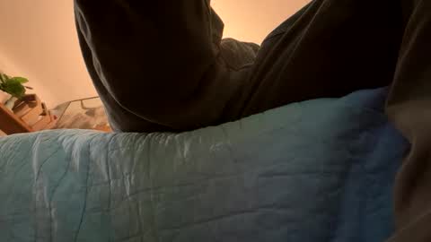 Snapshot of t265h chatting on November 16, 11:21 pm tRex online show from November 16, 11:21 pm