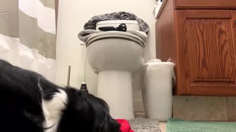 Snapshot of t265h chatting on November 22, 4:11 am tRex online show from November 22, 4:11 am